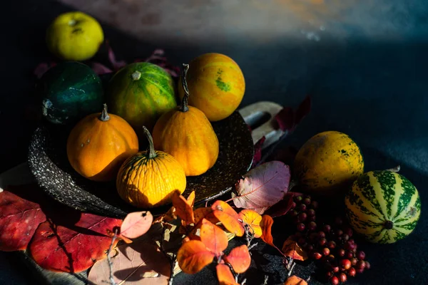 Tasting the Seasons: The Importance of Seasonal Ingredients